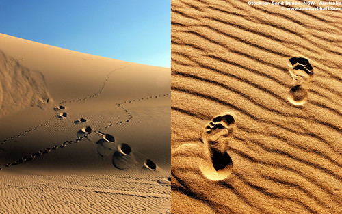 free 1680x1050 resolution desktop wallpaper photo of Footprints and Journeys in Stockton Sand Dunes