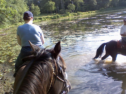 Axel and friends take a dip on our trail ride