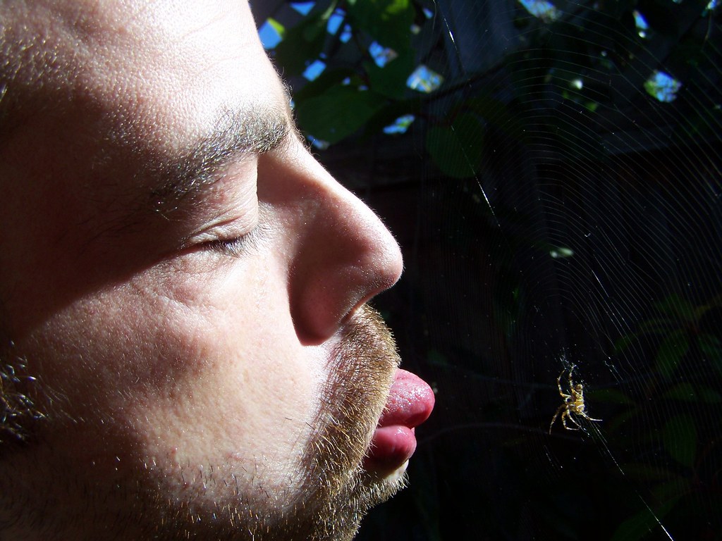 sep 374 Johnny attempting to lick spider