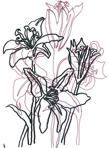 Yesterday I drew these lilies a couple of different times in different 