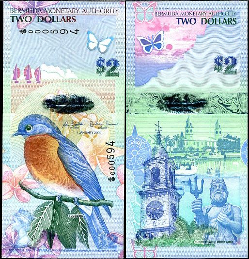2 doláre Bermudy 2009, polymer