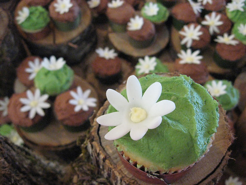 rustic green and brown wedding cupcakes a photo on Flickriver
