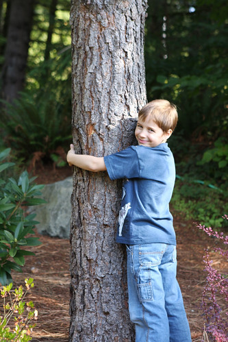 My Little Tree Hugger with his Ponderosa Pine