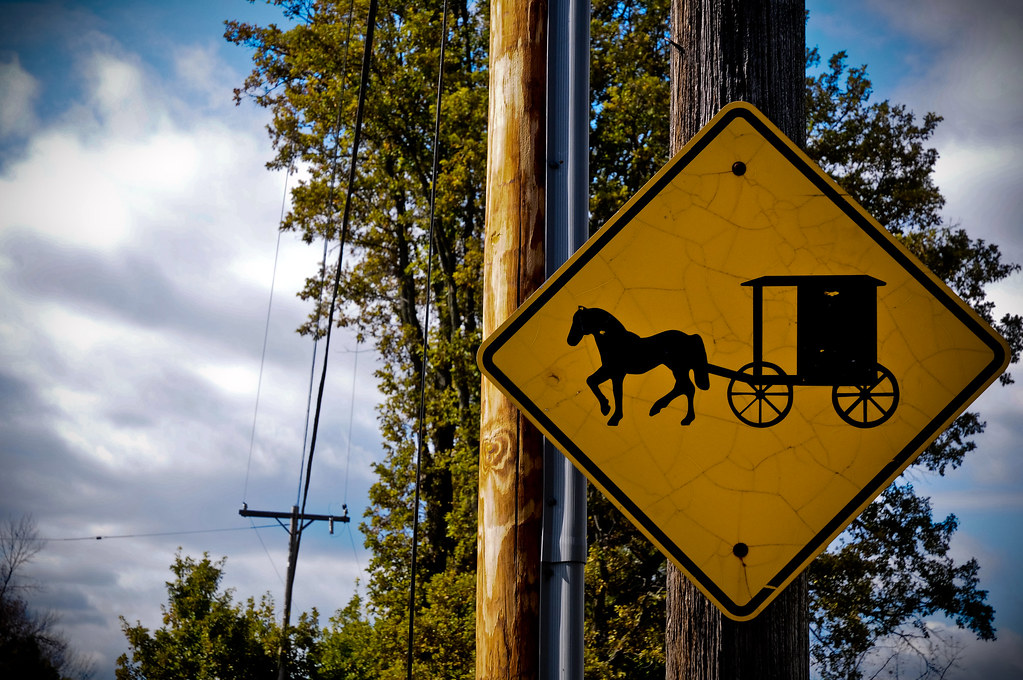 255/365 Caution, Horse and Buggy Crossing