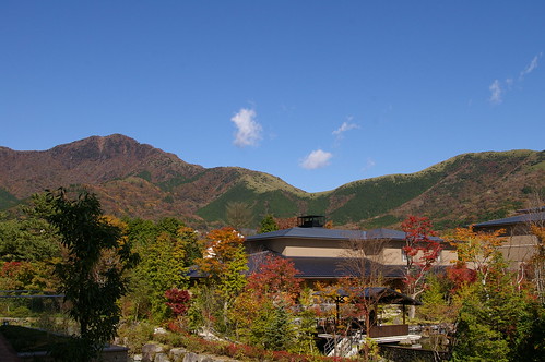 箱根の山々