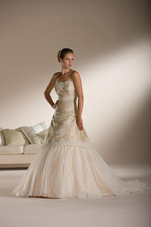 Strapless dress with lace and embroidery throughout the bodice.