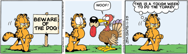 Garfield: Lost in Translation, November 25, 2009