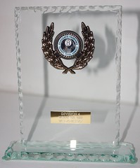 Division 4 Pool trophy