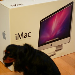iMac-DSC09281