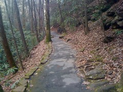  Anna Ruby Falls Trail