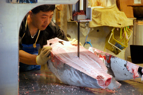 cutting tuna, tsukiji fish market