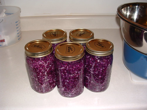 Freshly Canned Red Sauerkraut