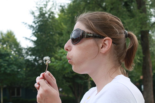 Fun with dandelions