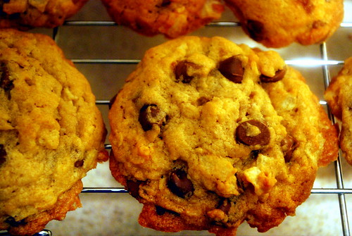 Extra Special Chocolate Chip Cookies