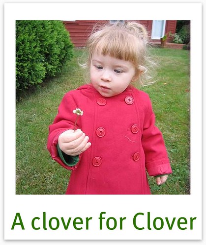 A clover for Clover