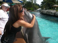 Missy Ward hugging a dolphin at SeaWorld Orlando on the Dolphin Discover Tour