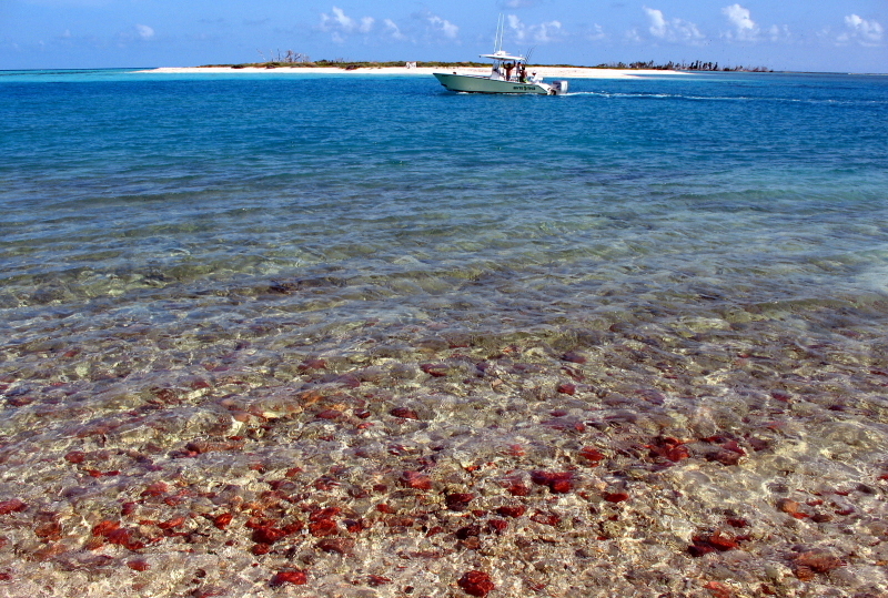 Dry Tortugas, Benteng Yang Menjadi Tempat Wisata Di Tengah Lautan [ www.BlogApaAja.com ]