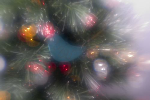 birdy on our tree :)