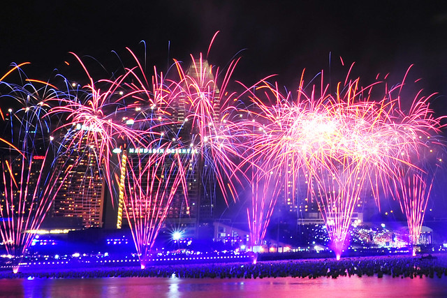 DSC_8328 2010 New Year Fireworks