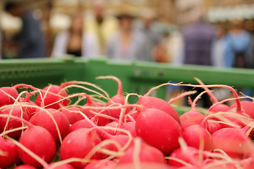 market radishes