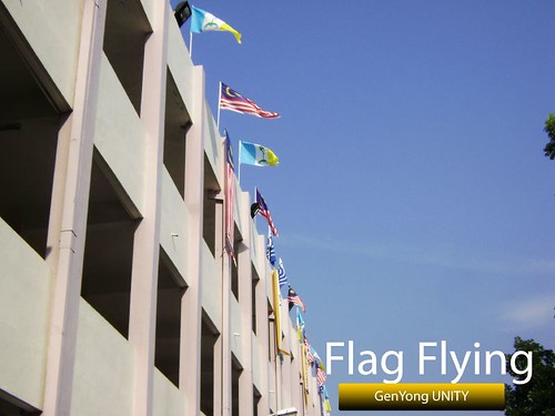 Flag Flying