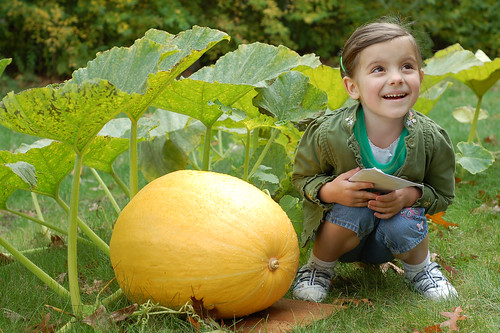Little girl with a mighty big pumpkin.