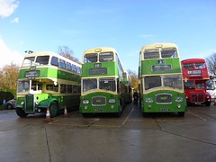 Southdown buses