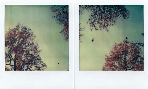 Crows & Trees Diptych