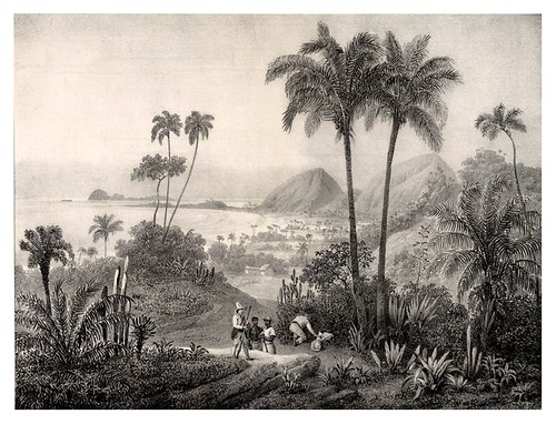 005- Playa Rodríguez cerca de Rio de Janeiro-Villeneuve Louis-Jules-Frédéric-1835
