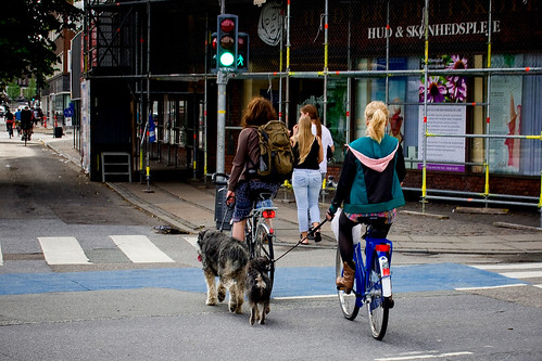 Copenhagen Dog Walking