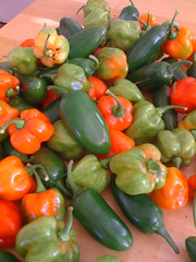 Peppers from the garden