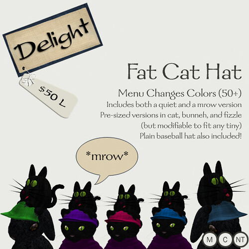 Fat Cat Hat