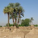 Temple of Luxor, Avenue of the Sphinxes by Prof. Mortel