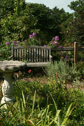 bench in the fenced garden