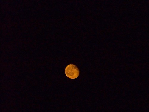 low orange moon, taken at Griffith Observatory