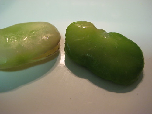 twice-shelled fava bean