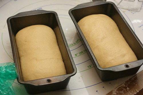 Portuguese Sweet Bread Loaves