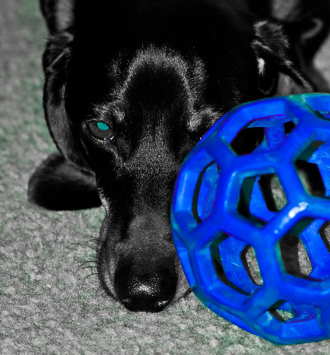 Cooper hiding behind his ball