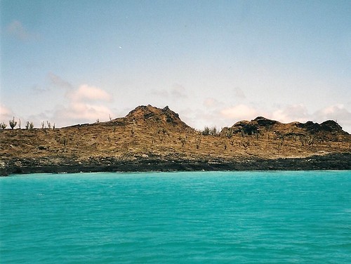 Galapagos-Rabida (1)