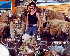 The Agrodome 1991 Rotorua New Zealand Sheep Shearing