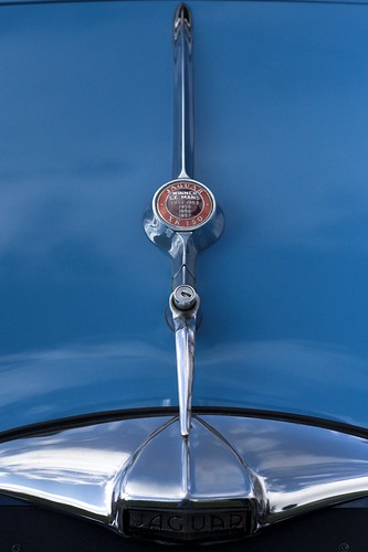 Jaguar bleue - logo capot