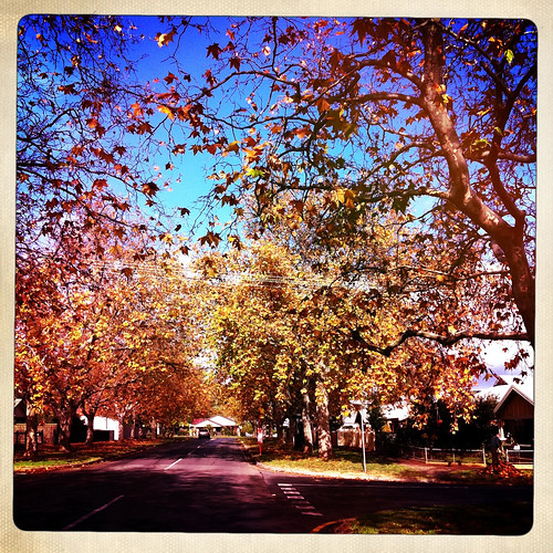 The streets of autumn. Day 184/365.
