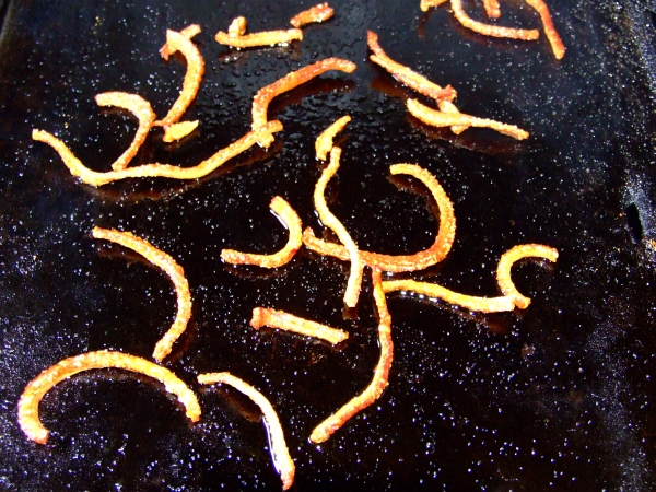 worms frying