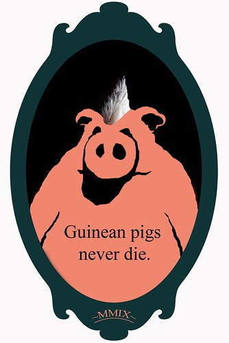 Guninean pig punk