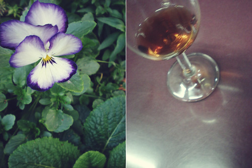 Wine and Flowers [329/365]