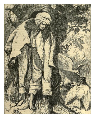 007-Camaralzaman  encuentra el talisman de la princesa Badura-A.B. Hougston-Dalziel's Illustrated Arabian nights' entertainments (1865)