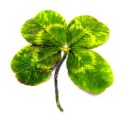 Happy St. Patrick´s Day from Singer songwriter and children's writer, Tony Funderburk