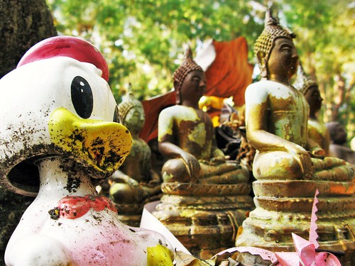 What is Webbigail doing in the Buddha Cemetery? - Chiang Mai, Thailand