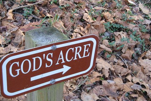 Trail to God's Acre