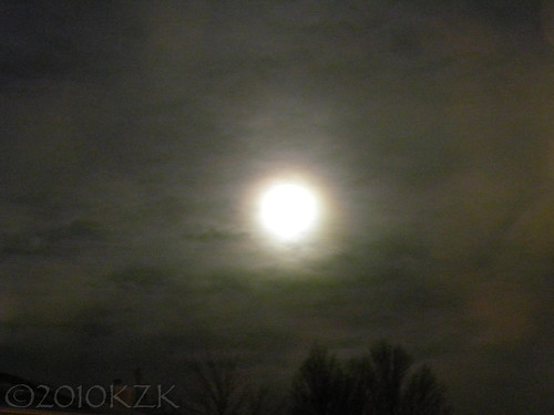 DSCN3614 29 JAN '10 Wolf Moon